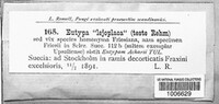 Eutypa lejoplaca image